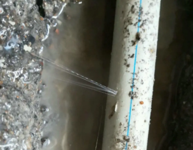 宁海测漏水哪家好