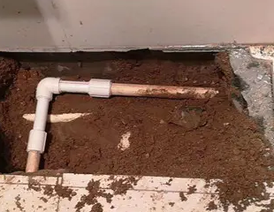 宁海测漏水哪家好