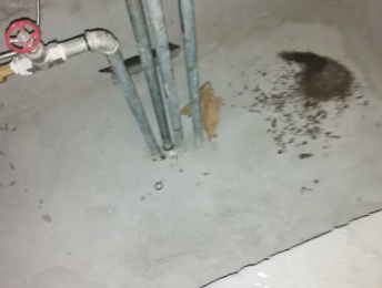 宁海卫生间测漏水价格明细