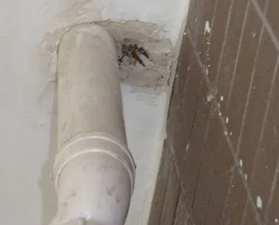 宁海漏水检测哪家好